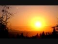 Coldfinger - Dragonfly 