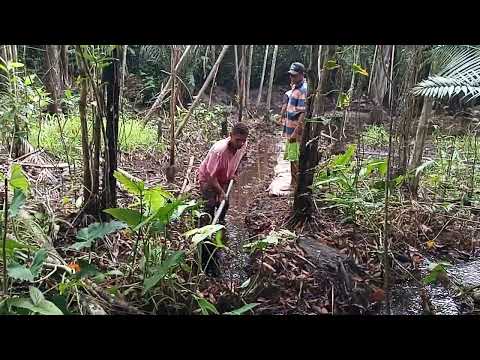 vídeo número 2 dia piscina natural na pousada guarimam em Morros Maranhão