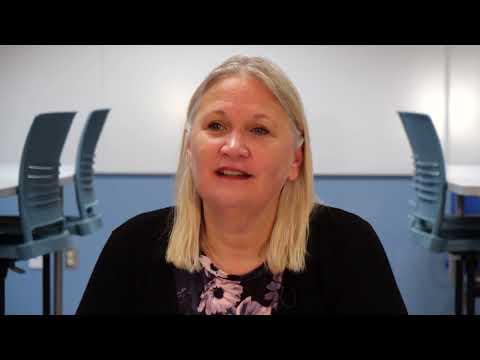 Professores amam ponte