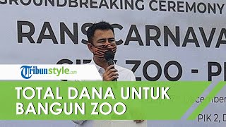 Bangun Kebun Binatang Megah bak di New York, Berapa Besar Dana yang Digelontorkan Raffi Ahmad?