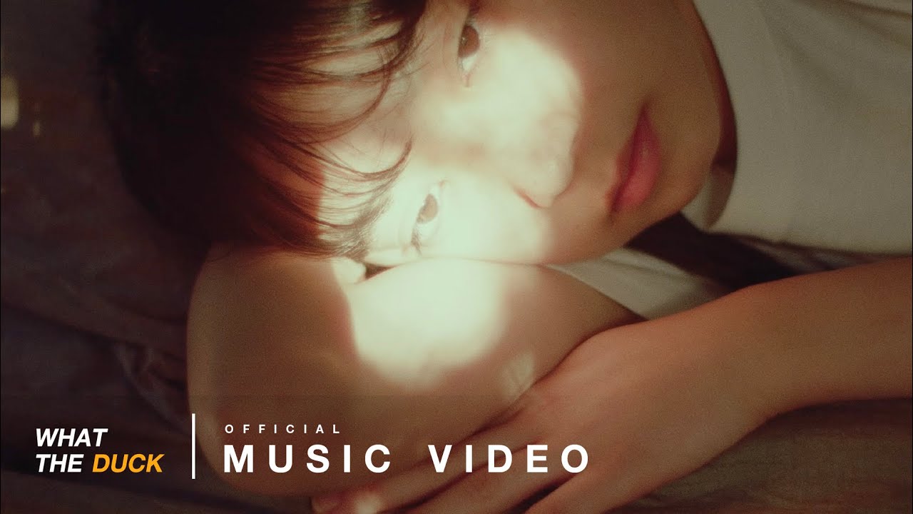 เนื้อเพลง Butterflies Plastic Plastic