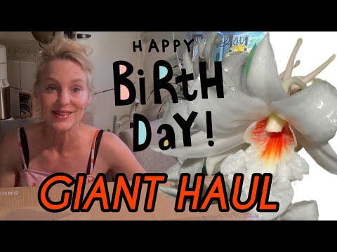 GIANT ORCHID UNBOXING FOR MY BIRTHDAY OF 2025