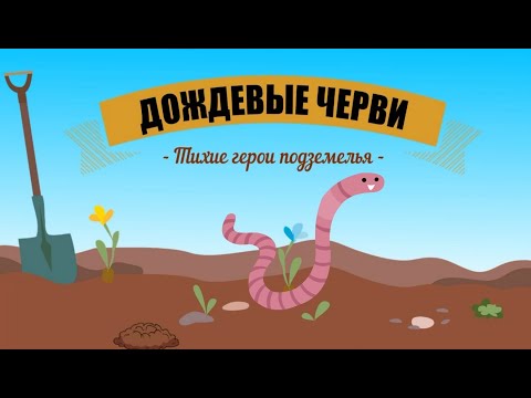 Дождевые черви | Познавательное видео про дождевых червей | Удивительный мир беспозвоночных