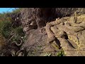 Kisima Cha Majoka Fahamu Rattle Snakes Origin Location Never Seen Before Facts