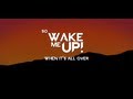 Avicii ft Aloe Blacc - Wake Me Up Lyrics (New 2013 ...