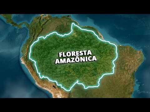 What's Hidden Beneath the Amazon Rainforest?