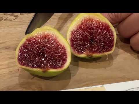 A. Sangue Fig Taste Test 2025