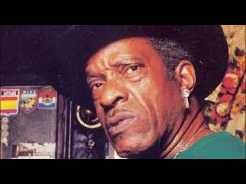 Jerry McCain : Spoiled Rotten To The Bone (1989)