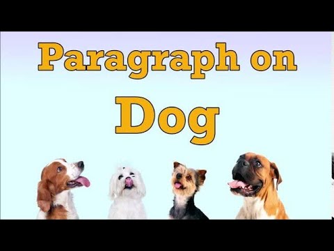 Paragraph/lines/ essay on "The Dog" in English. My pet dog. Let's Learn English and Paragraphs. Video