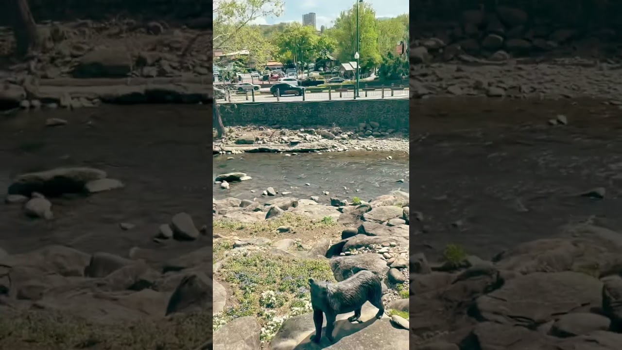 A look toward The Parkway | Gatlinburg, TN