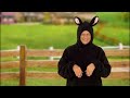 Baa-Baa Black Sheep