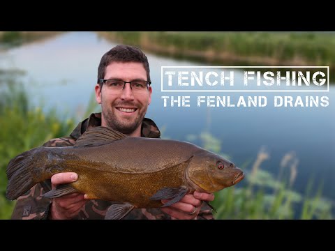 Float Fishing For Tench On The Fenland Drains