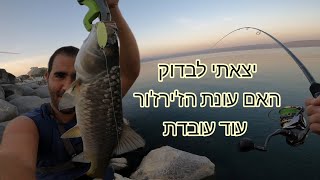 האם עובד דיג בזירזור עדיין? מרגישים את סוף העונה. אבל לפני החושך זה קורה והם באים!