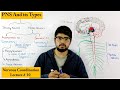 Peripheral Nervous System PNS