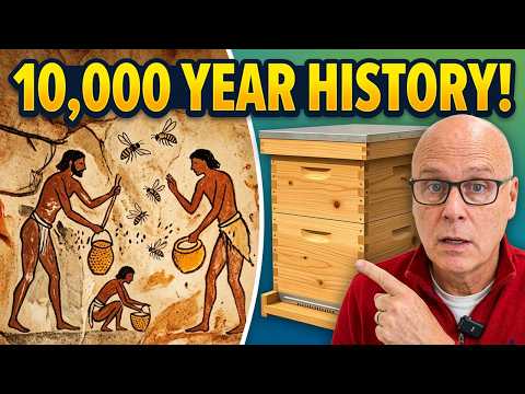 The Ancient Art of Traditional Beekeeping | Golden Age
