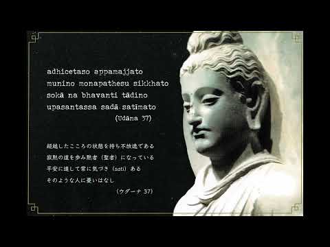 パーリ語 (Bijelo Polje) - 定義