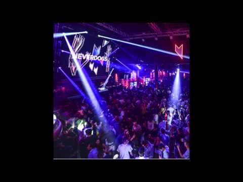 Neverdogs at Music On Opening Party 2015