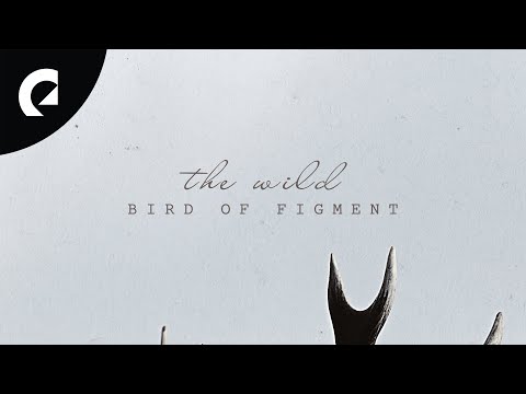 Bird of Figment - The Wild (Official EP) [Acoustic Songs]
