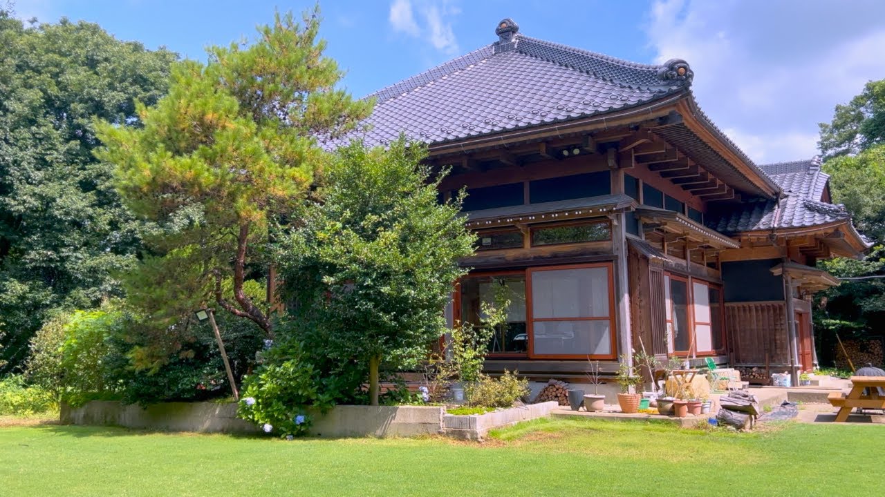 Why Our Pine Tree Died — and How to Avoid the Same Fate (the pine tree, not you). 