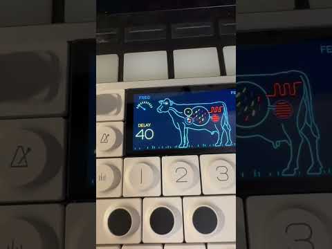 Op-1 is TOTALLY worth $2000 #sounddesign #op1 #teenageengineering #musicproduction