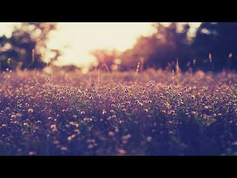 Chillstep No Vocals 🌴 Instrumental Chillstep for Study Work Concentration 📛 NO VOCALS Study Mix