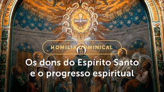 Homilia Dominical | Como colher os frutos dos dons do Espírito Santo? (Solenidade de Pentecostes)