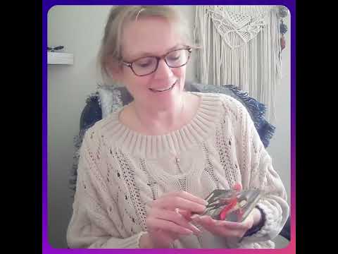 Come Alive! Stay Lit!