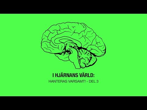 I hjärnans värld: Hanteras varsamt! - Del 3