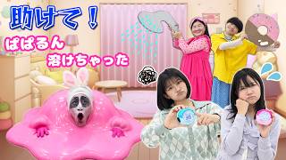どうしよう！ぱぱるんが溶けちゃった😭助けて！応援隊長ガンバレルーヤさん！himawari-CH