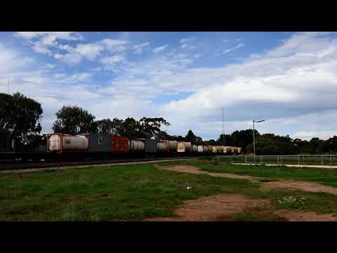 Freight Train (5MP2)