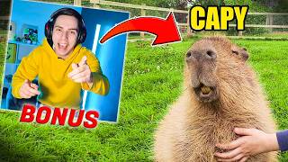 Un JOC cu CAPYBARA !
