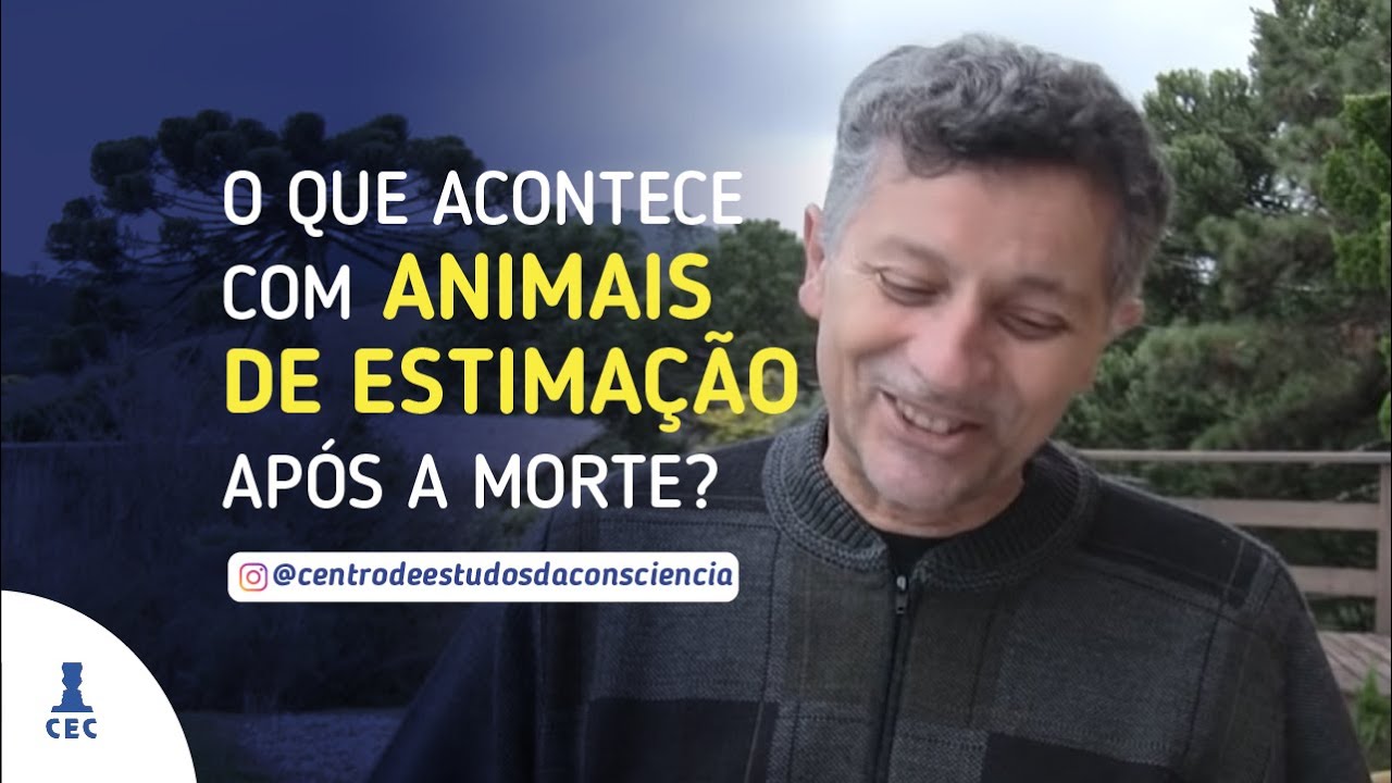 O Que Acontece Com Animais de Estimação Após a Morte?