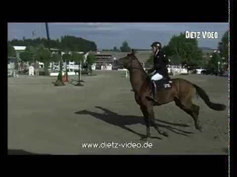 Quiwi Dream Hans-Dieter Dreher