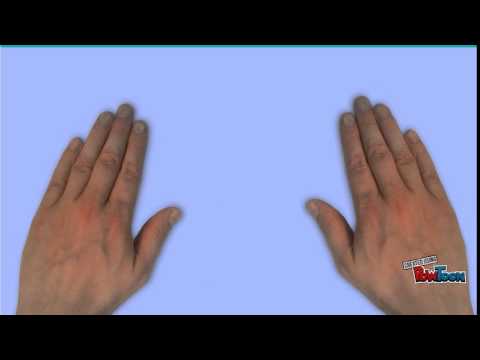 sucessão ecológica