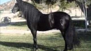 El Palacio Del Rey- Laberinto