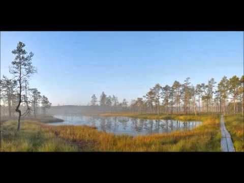Villem Kapp - Symphony No. 2 (1955)