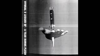 Hybral - Polish Stonewall (Angel Karel Remix) (Brvtalist S.R.)