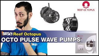 Reef Octopus Octo Pulse : Aimable, adjustable, affordable, and all around solid reef tank powerheads