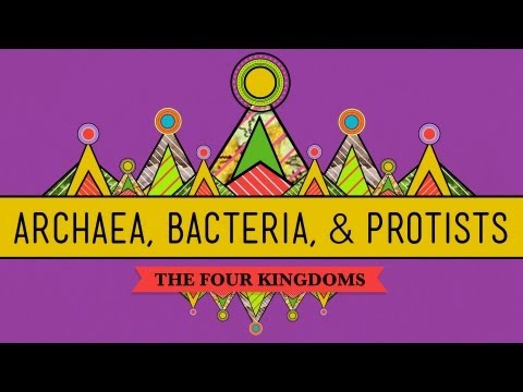 Old & Odd: Archaea, Bacteria & Protists - CrashCourse Biology #35