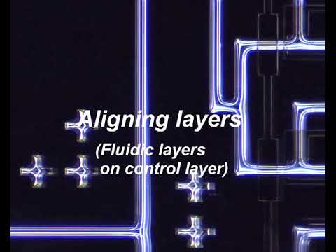 Multilayer PDMS device fabrication