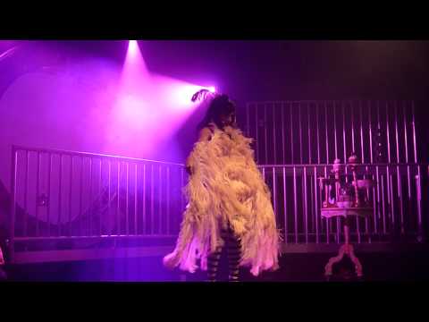 Veronica Varlow Burlesque Feather Dance