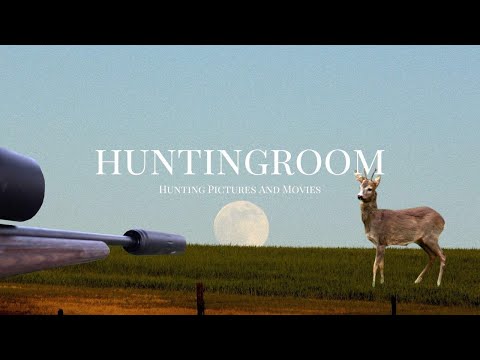 Sauen und Böcke ohne Ende - Jagd in der Eifel