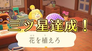 島の評判を上げる決め手となった花畑をご紹介します【あつまれどうぶつの森】