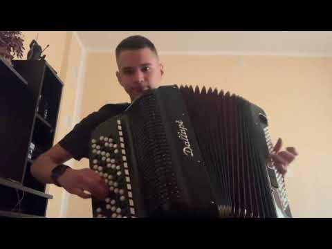 Nikola Simić - Virtuozna harmonika