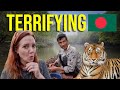 Scary Tiger Encounter In Sundarbans Exploring Remote Bangladesh Carrie Patsalis