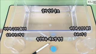 [미니쌤 과학 실험] 공기가 공간을 차지하는지 알아보기