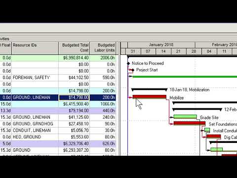 How To Use Resources in Primavera P6