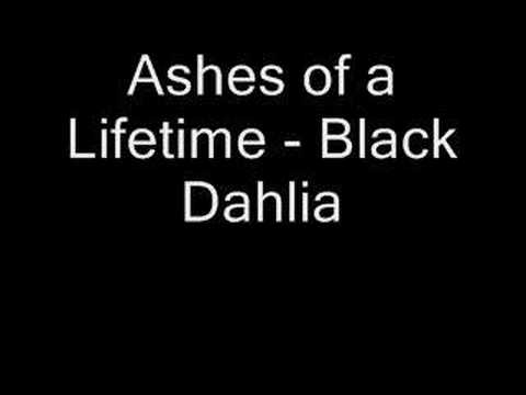 Ashes of a Lifetime - Black Dahlia