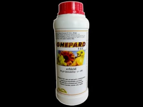 , title : 'GHEPARD 5EC erbicid postemergent pentru cultura de:cartof,floarea soarelui,rapita si soia'