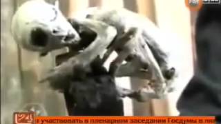 МИСТИКА ! НЕФИЛИМ